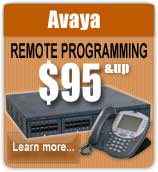 Avaya Remote Programming