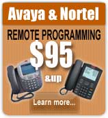 Avaya Special - phones Dallas